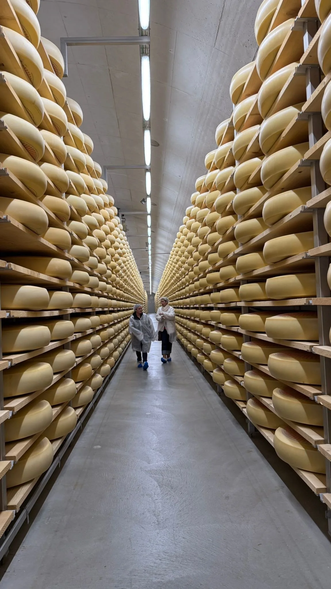 Photo Dec 09 2025, 9 07 03 PM (11) (1).jpg