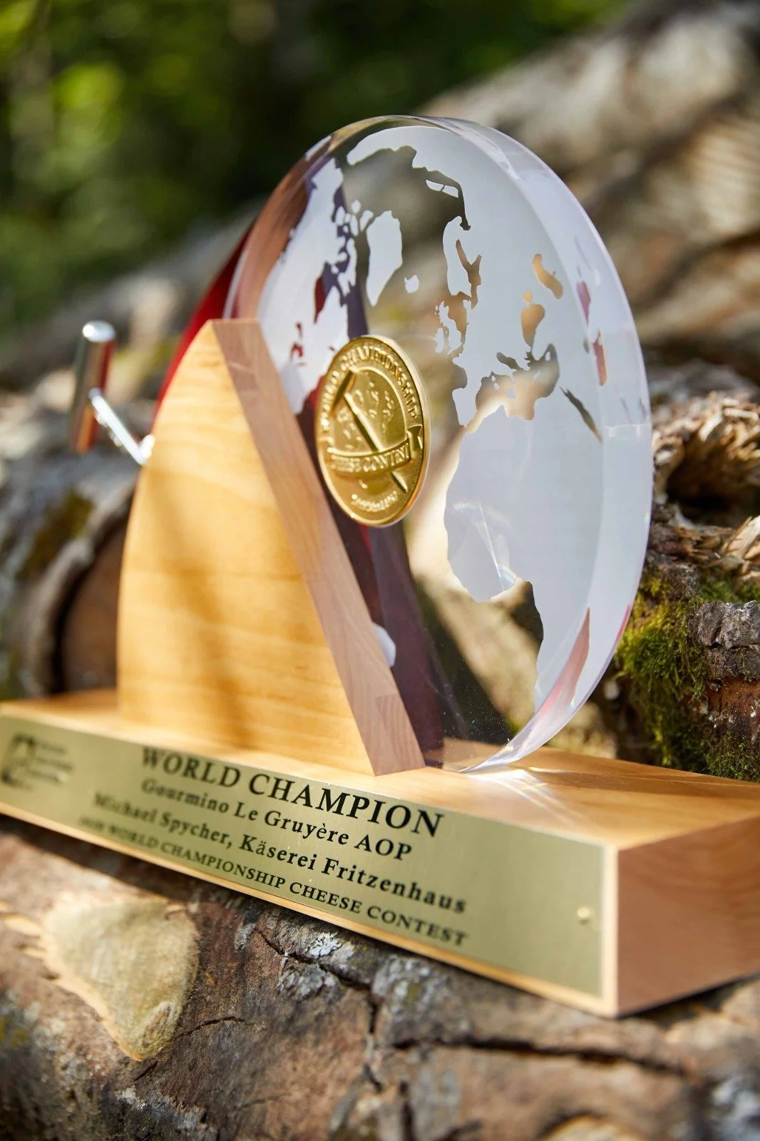 Photo Dec 22 2025, 7 43 21 AM.jpg