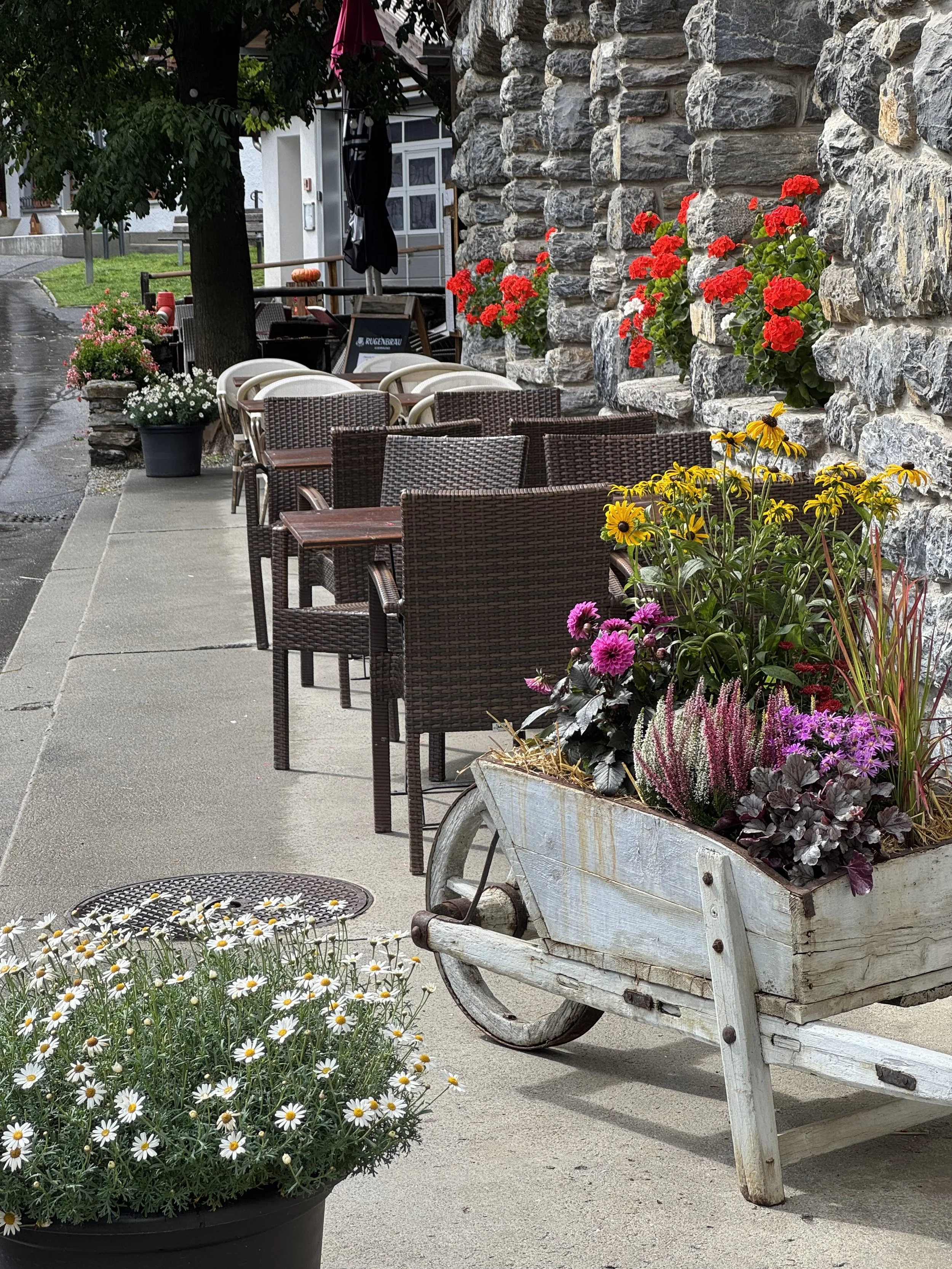 Photo Sep 05 2025, 2 59 56 PM.jpg