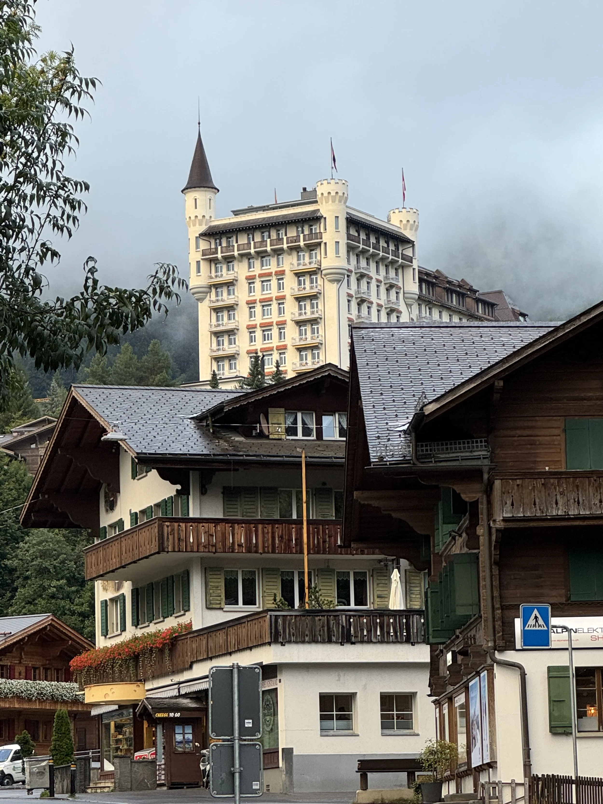 Photo Sep 05 2025, 7 40 40 AM.jpg