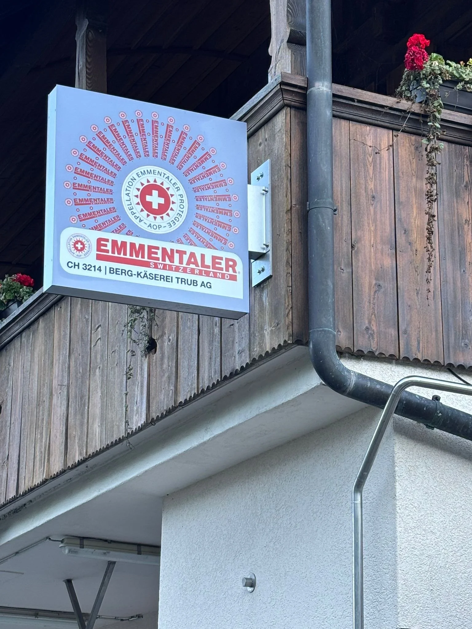 Photo Oct 02 2025, 3 57 18 AM (1).jpg