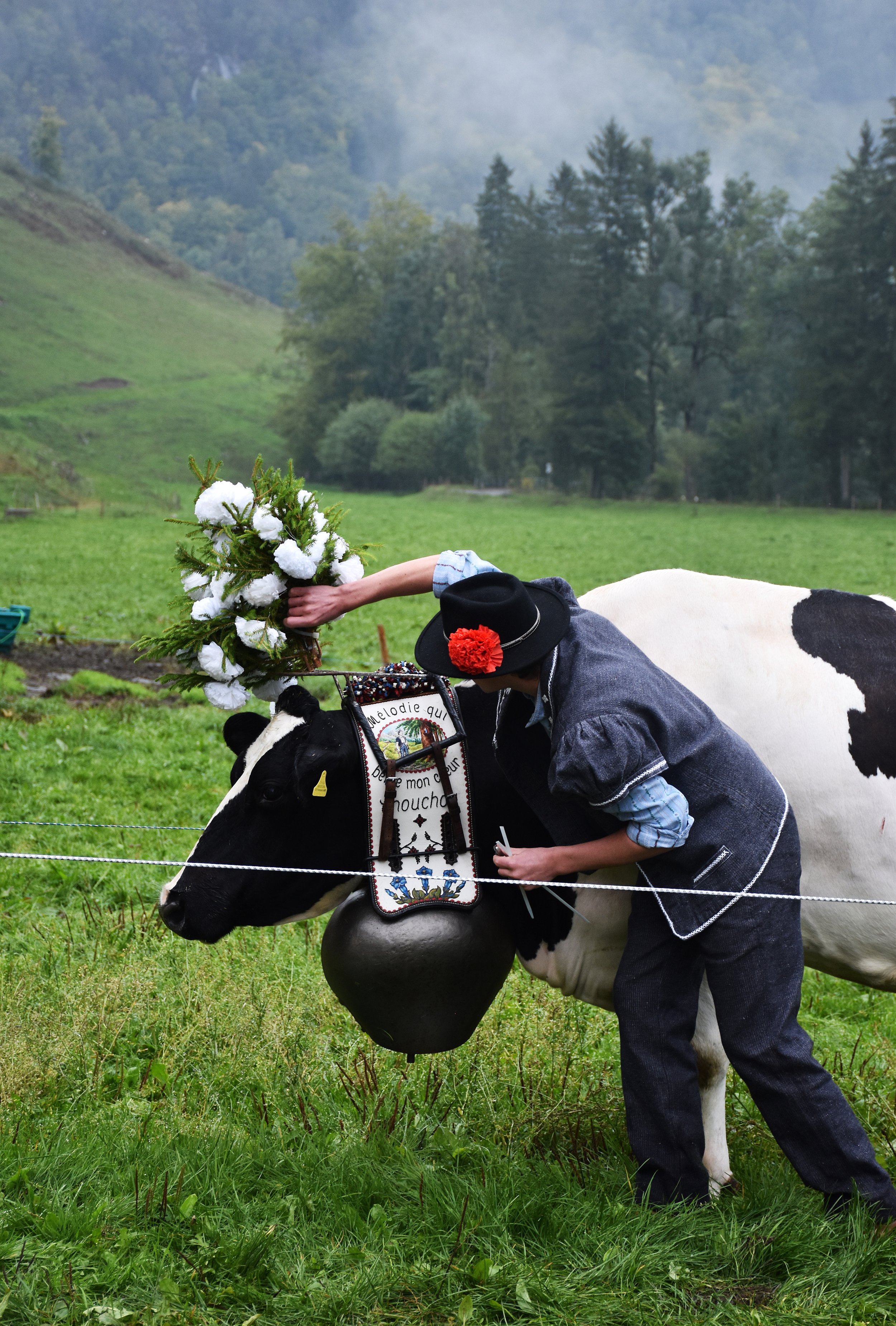 Cheese Journeys the Alps (153).jpg