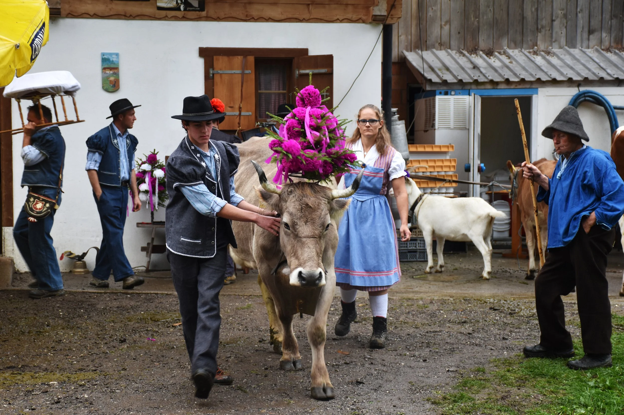 Cheese Journeys the Alps (164).jpg