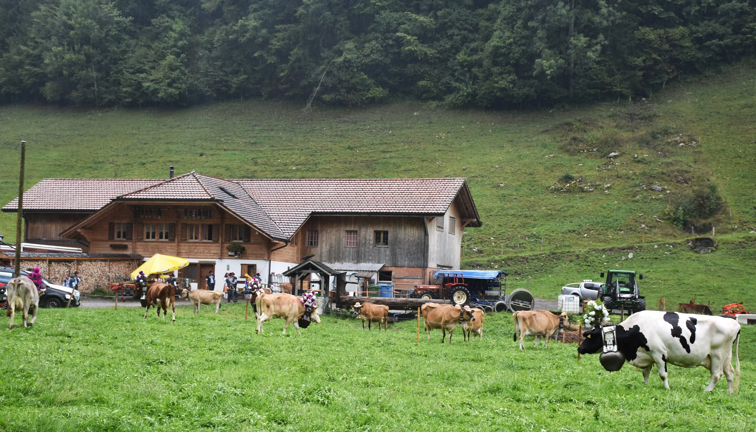 Cheese Journeys the Alps (169).jpg