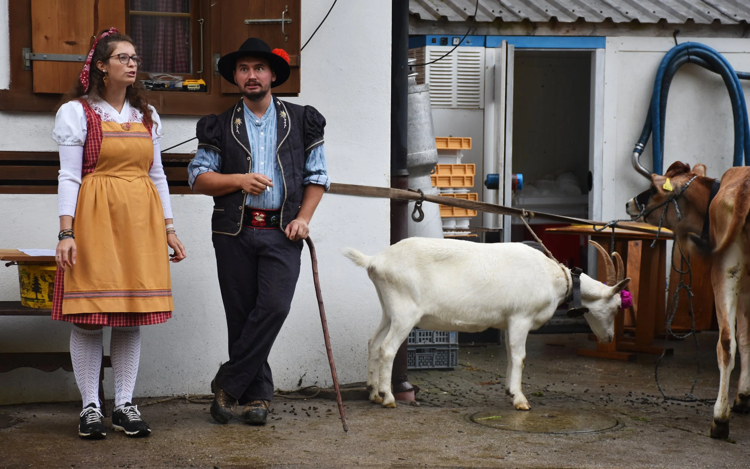 Cheese Journeys the Alps (166).jpg