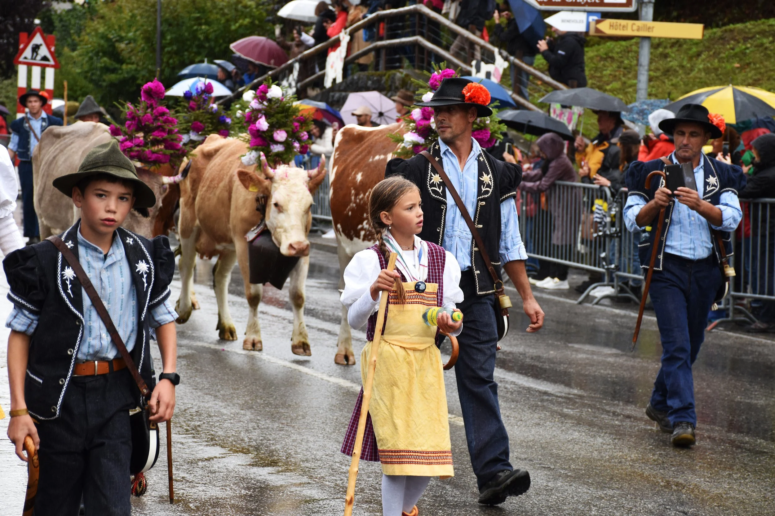 Cheese Journeys the Alps (178).jpg