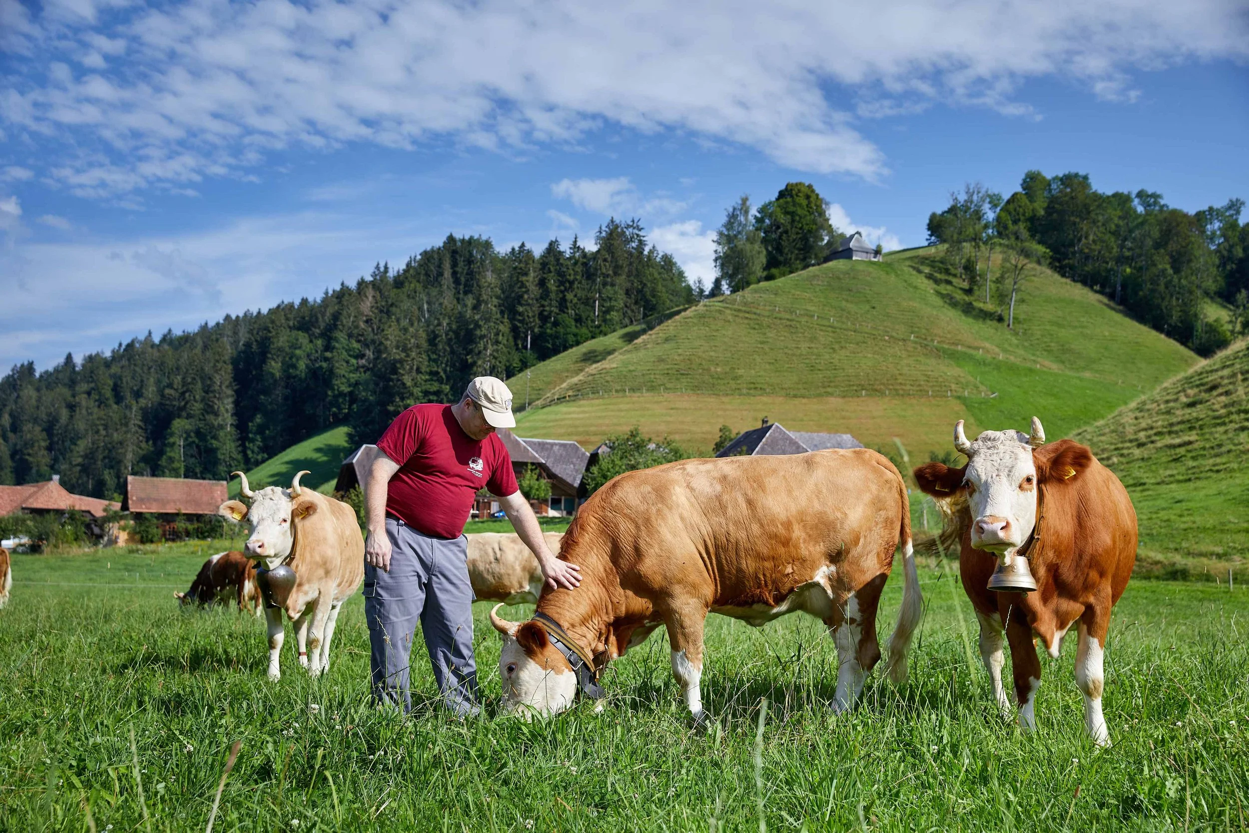 Gourmino Mountain Dairy Fritzenhaus_Copyright tom_trachsel (5).jpg
