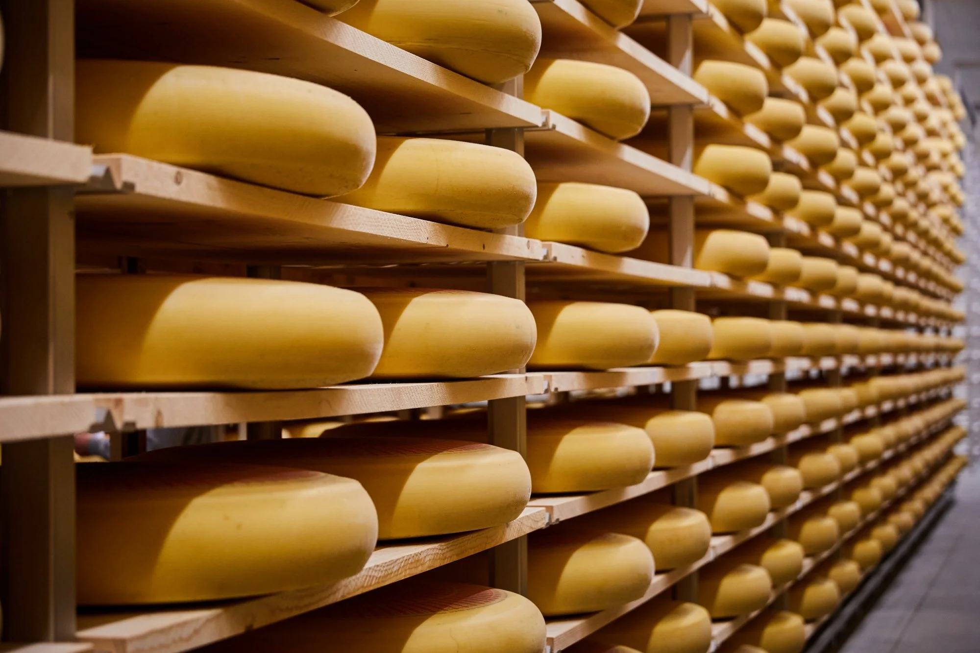 Gourmino_Affinage in Reichenbach, Emmentaler AOP_ Copyright TomTrachsel (2).JPG