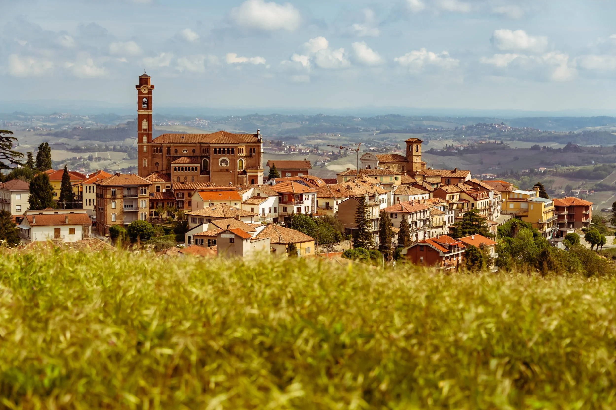 around castiglione tinella italy (28).JPG