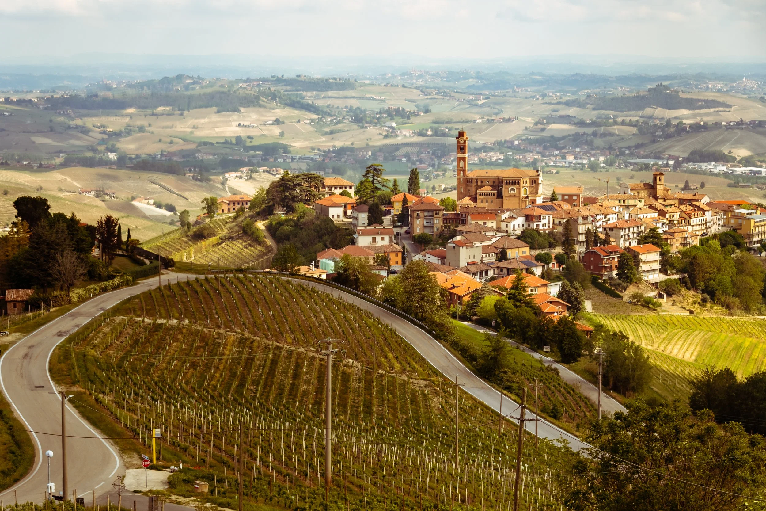 Around Castiglione Tinella Italy (32MUST).JPG