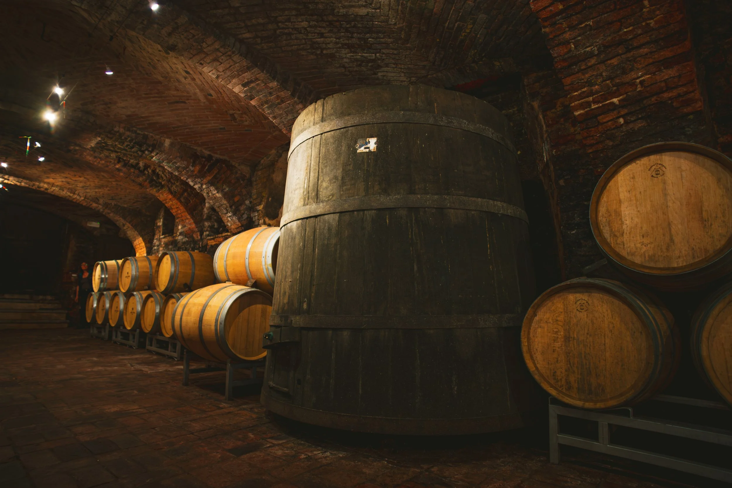 Barolo, Pira Chiara Boschis Winery (19).JPG