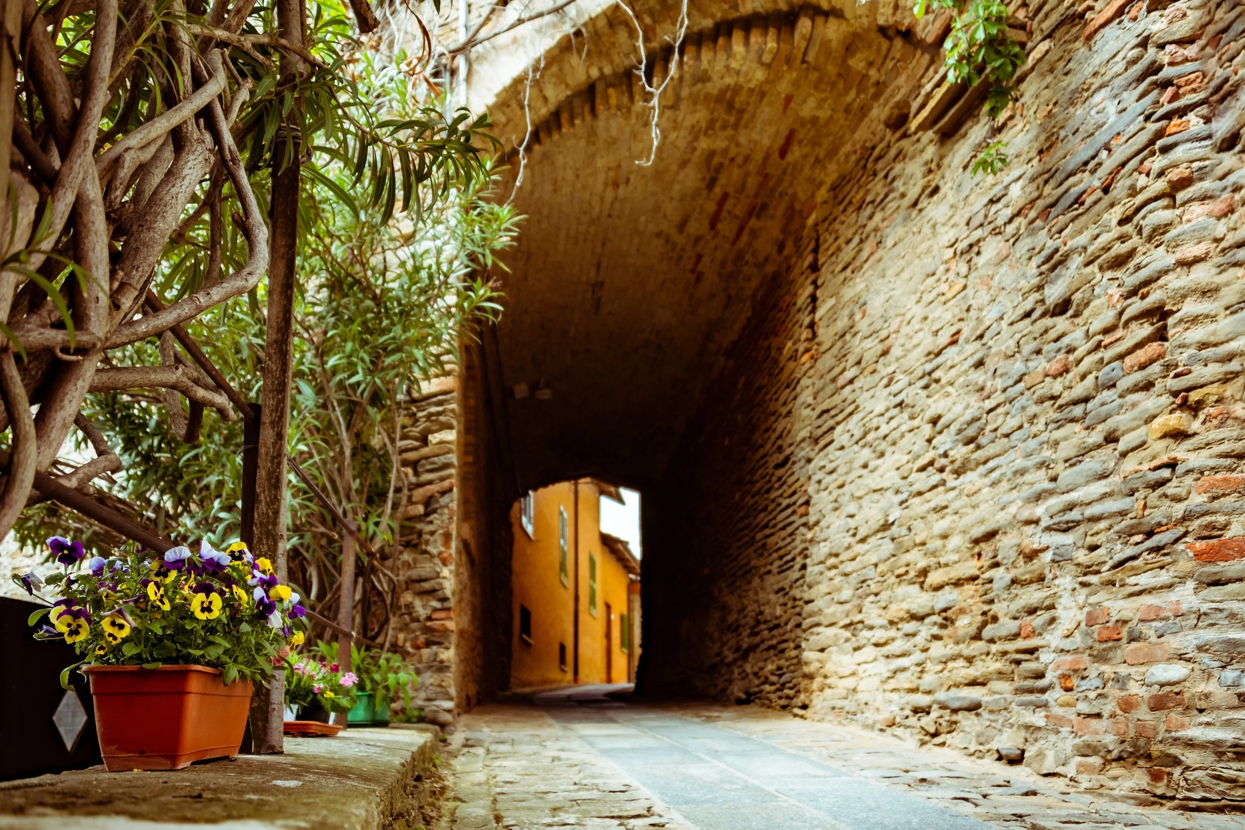 Around Castiglione Tinella Italy (34).JPG