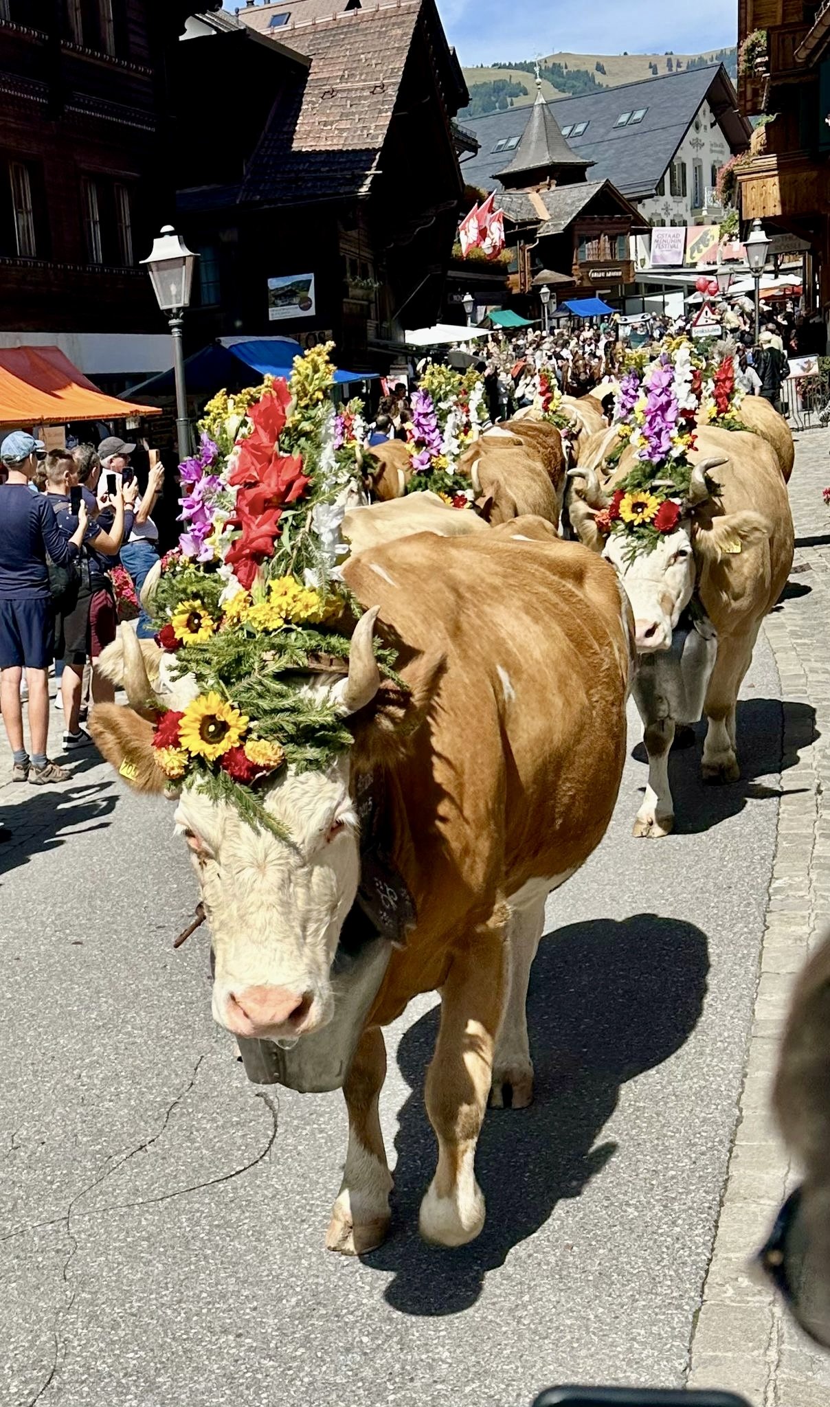 Photo Dec 09 2025, 9 07 02 PM.jpg