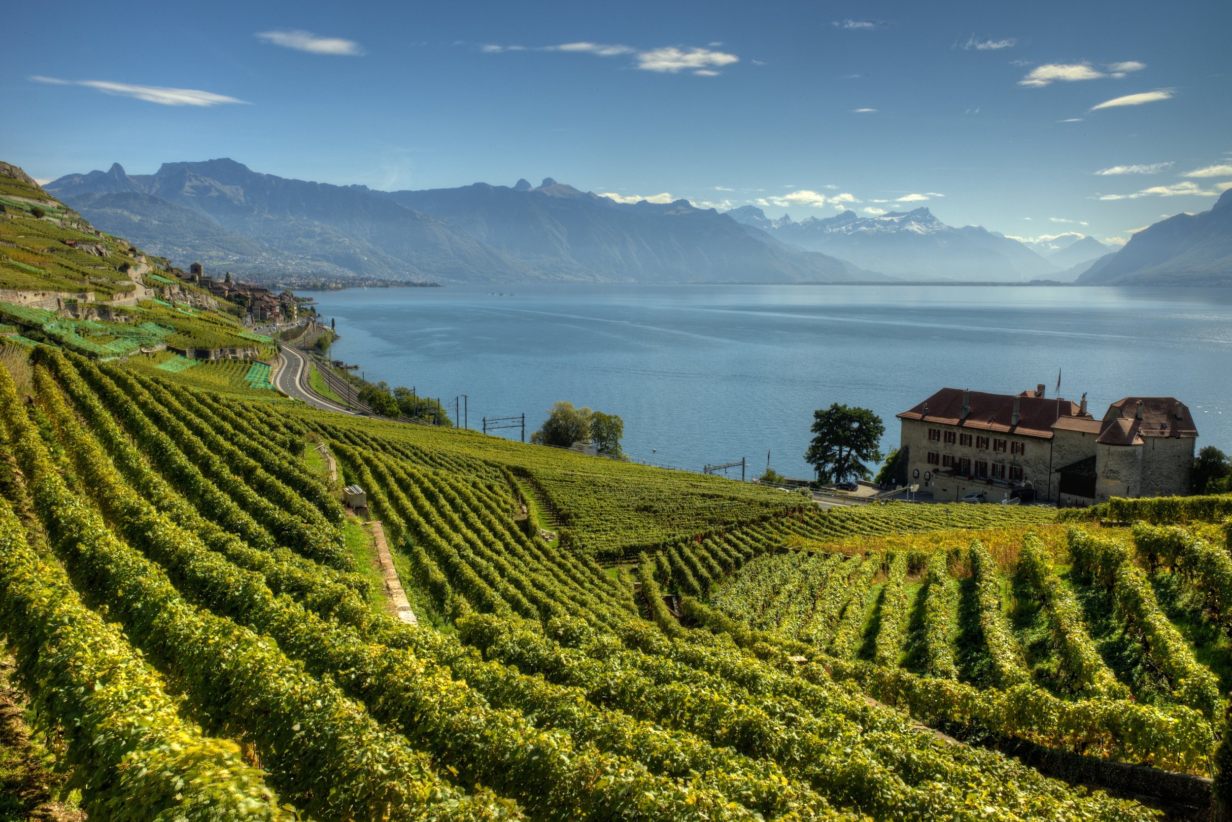 shutterstock_62178532 (1).JPG