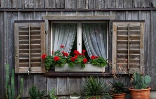 shutterstock_2622458547 (2).jpeg