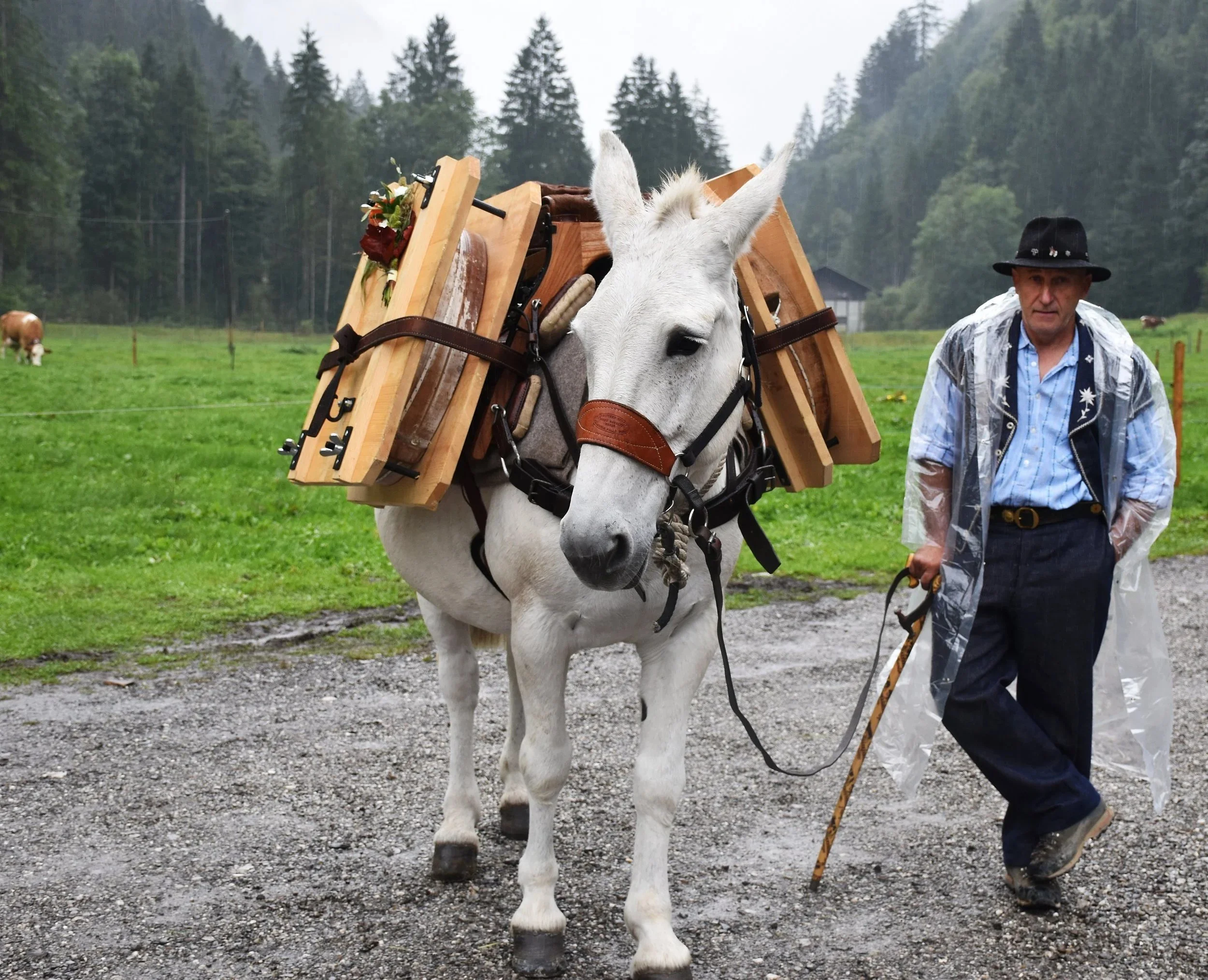 Switzerland: The Ultimate Insider Cheese Journey with Gourmino & Cow Parade - August 29 - September 5, 2026
