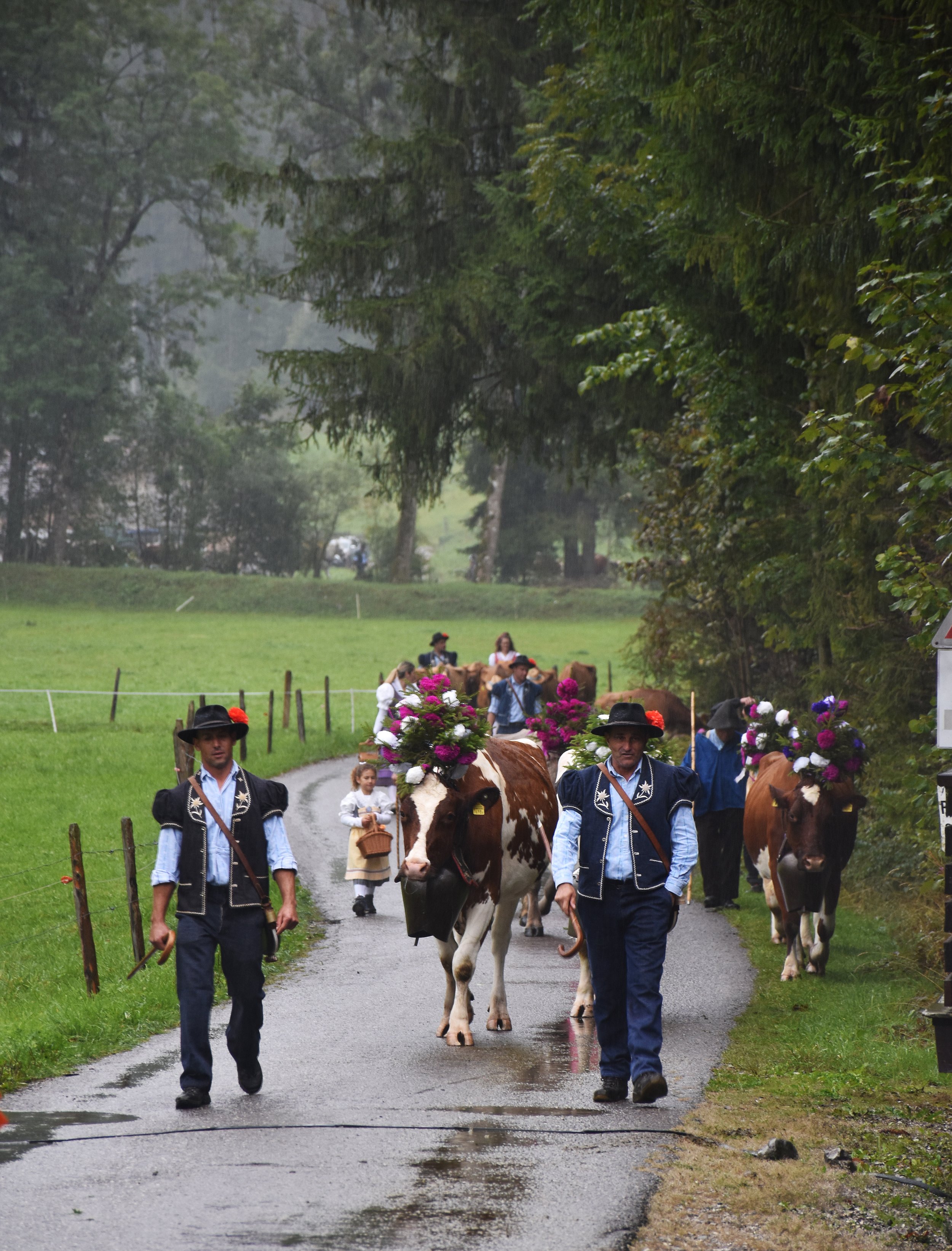Cheese Journeys the Alps (176).jpg