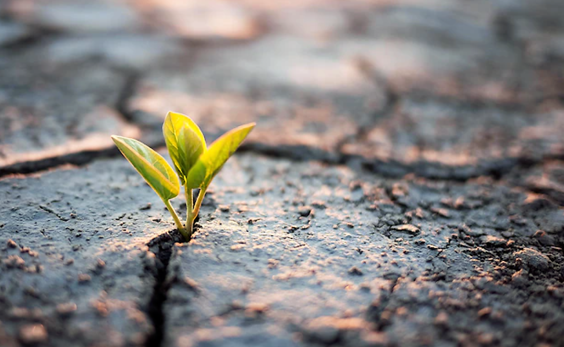 Változatok túlélésre – 5 színházi bemutató
