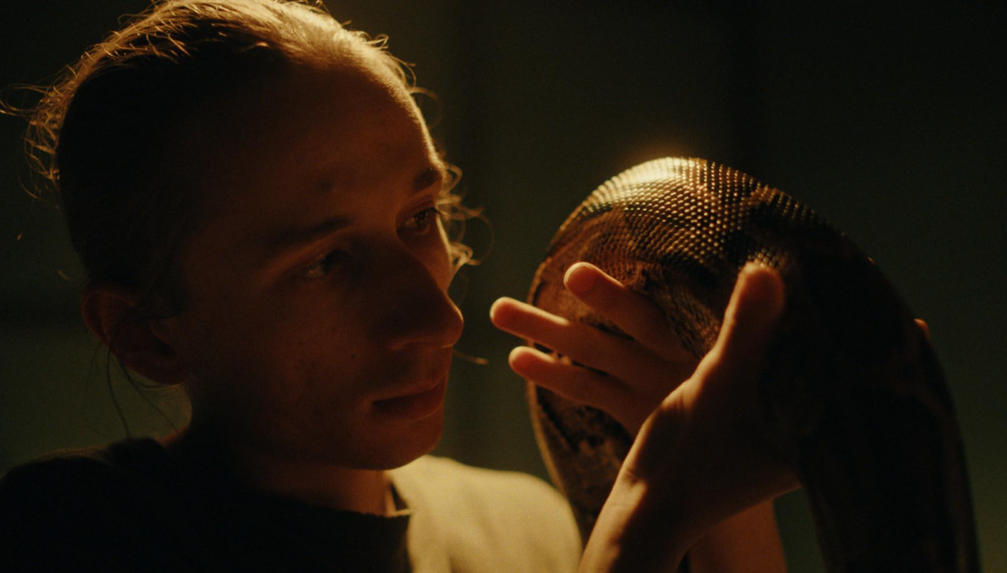 Újévi premiermustra – 5 film, ha mozis estét tartanál