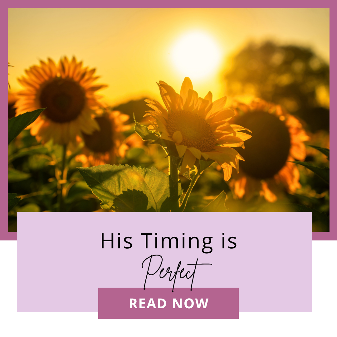 His Timing is Perfect