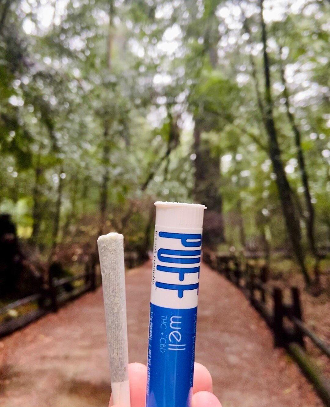 PUFF Well ☺️⁠
⁠
This 2:1 ratio of CBD:THC preroll gives you all the benefits that CBD has to offer.⁠
⁠
A smooth high that&rsquo;s just right for your outdoor jaunts or curling up with your favorite book. ⁠
⁠
Perfect for beginners, mature smokers or people just looking to take the edge off. ⁠
⁠
Rolled with 100% Critical Cure Cannabis Flower 🍁⁠
⁠
#Puff⁠
#Well⁠
#PuffPuff ⁠
#SmokeCbd⁠
#CriticalCure⁠
#ThcSoquel⁠
#LetsAllBeWell⁠
#GetOutdoorsInDecember ⁠
#NaturesCures⁠
#SantaCruzDispensary ⁠
#CannabisPreroll