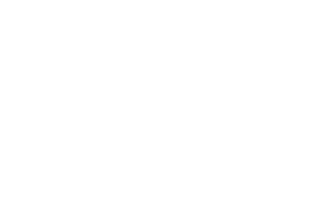 Peace By Piece