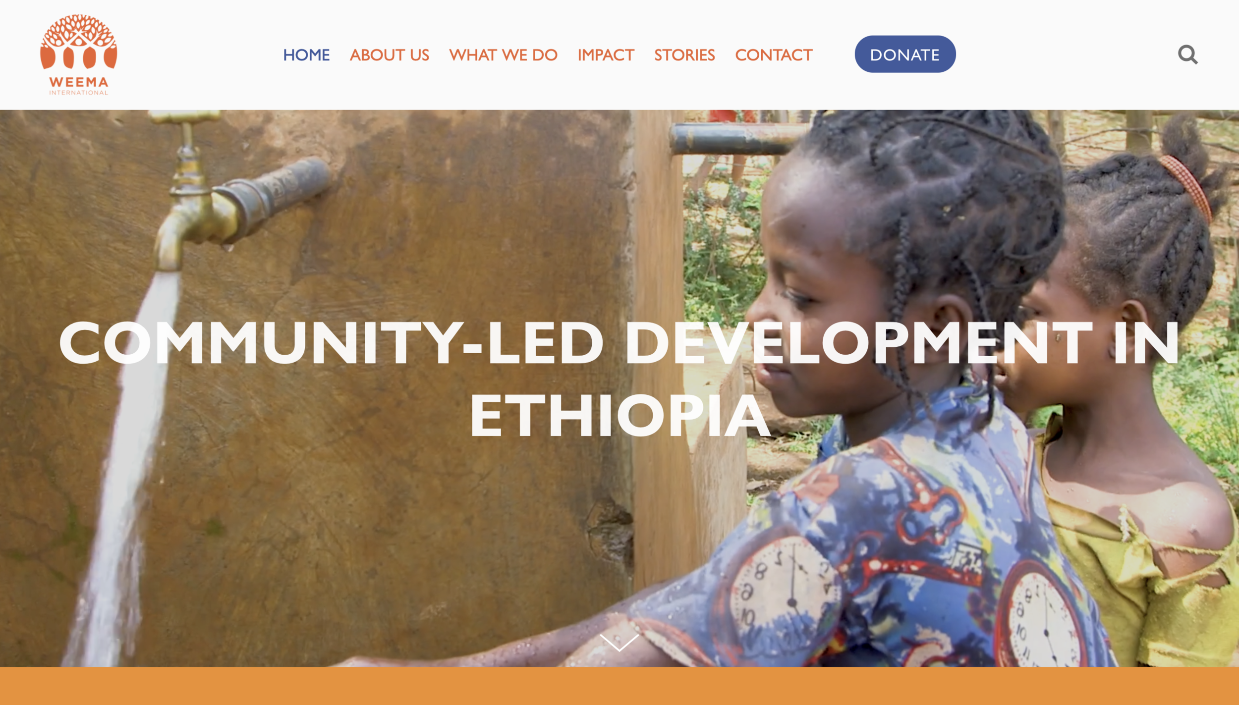 Ethiopia Team Updates and Website Launch