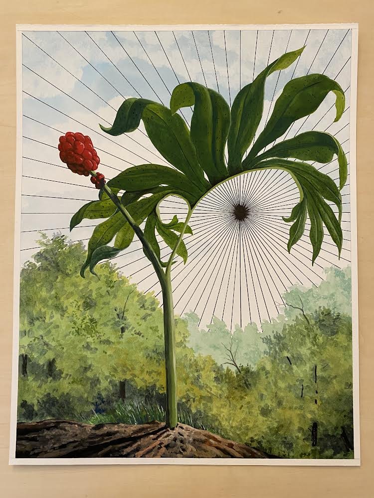   PEARL COWAN    Radiant Void   Watercolor ink &amp; gouache on paper  18.5 × 14.5 inches  $2,800 