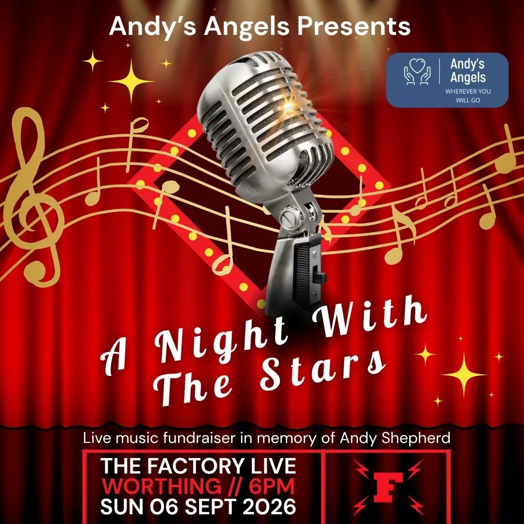 Andy's Angels: A Night with the Stars