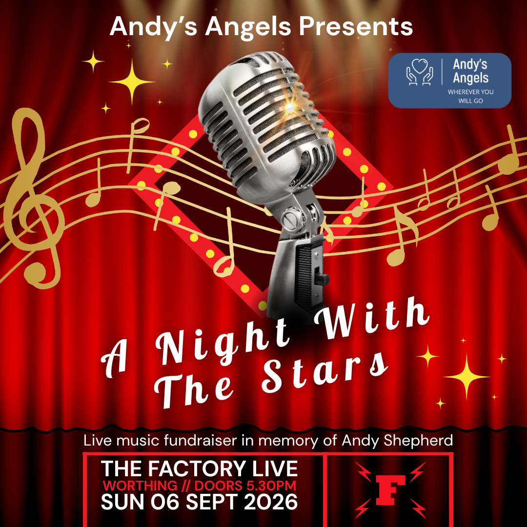 Andy's Angels: A Night with the Stars