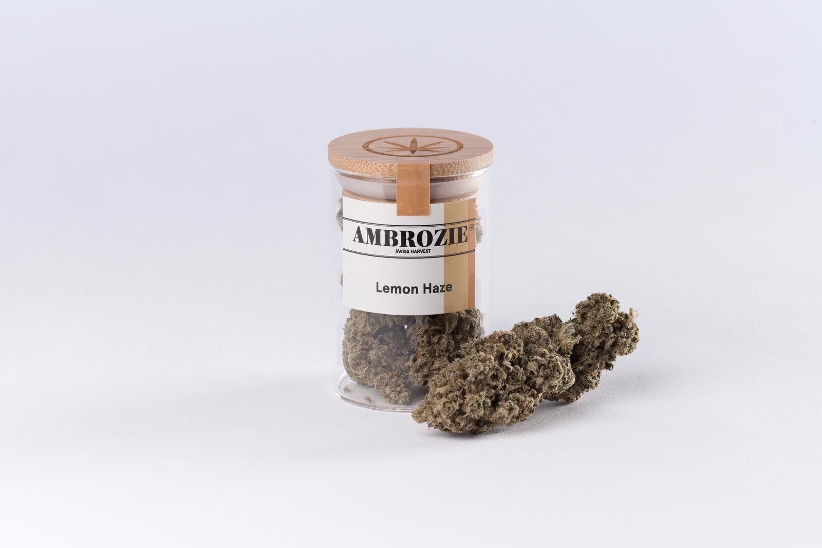 image Lemon Haze.jpeg