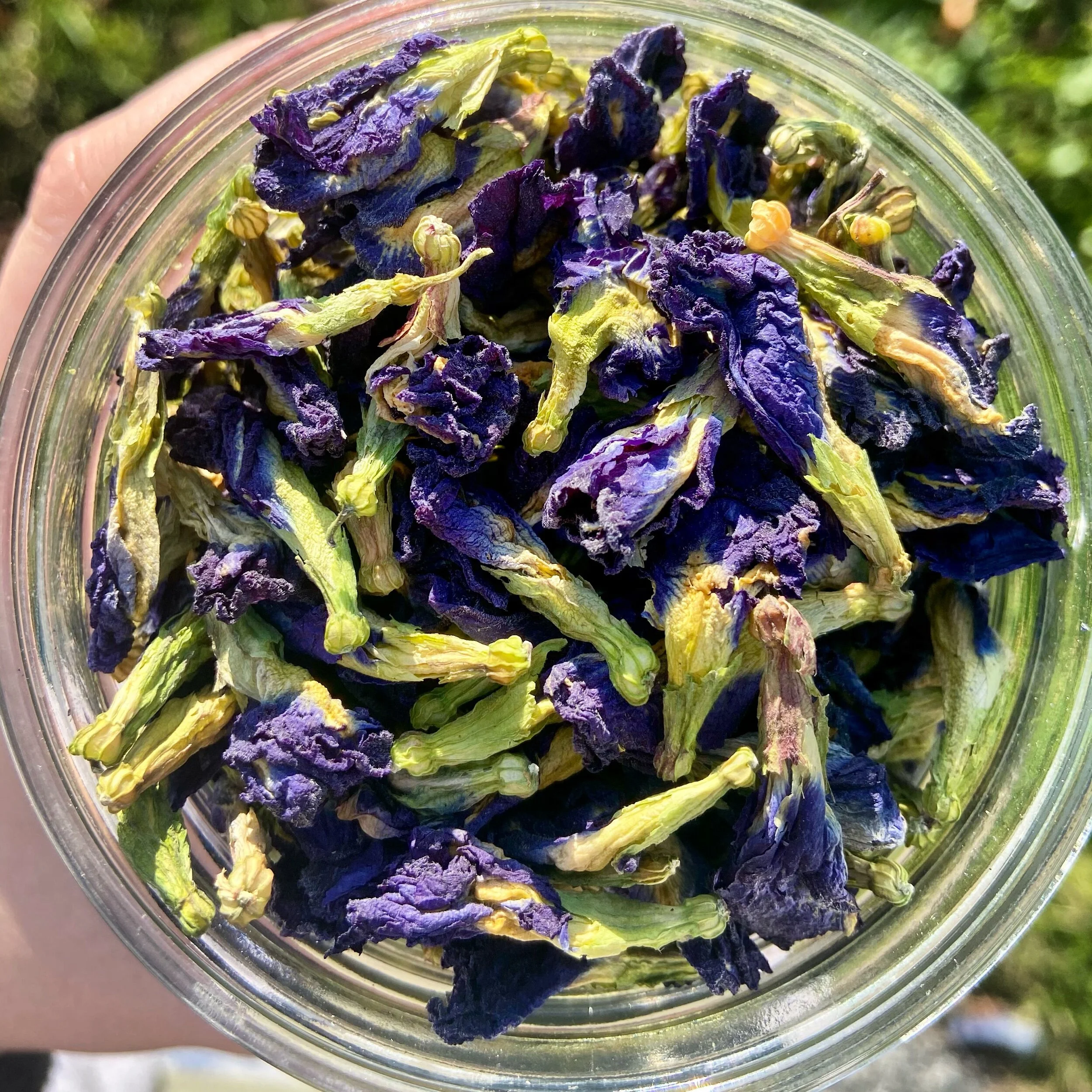 40125658-9C34-42BC-9568-52DB2F4187A8