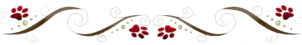 rderstretch-1noFLOWER.png