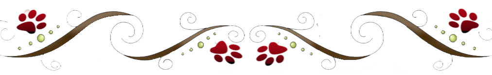 rderstretch-1noFLOWER.png