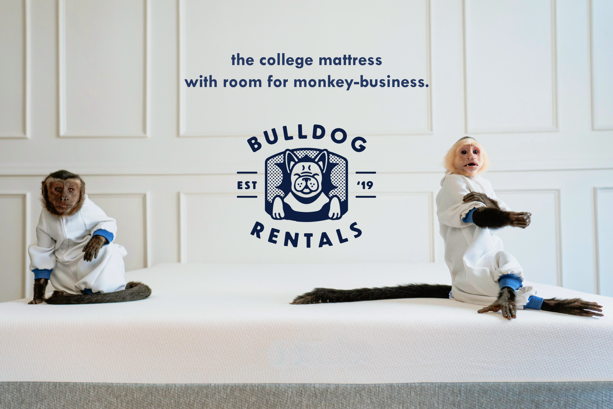 Monkeybusiness - Bulldog Rentals