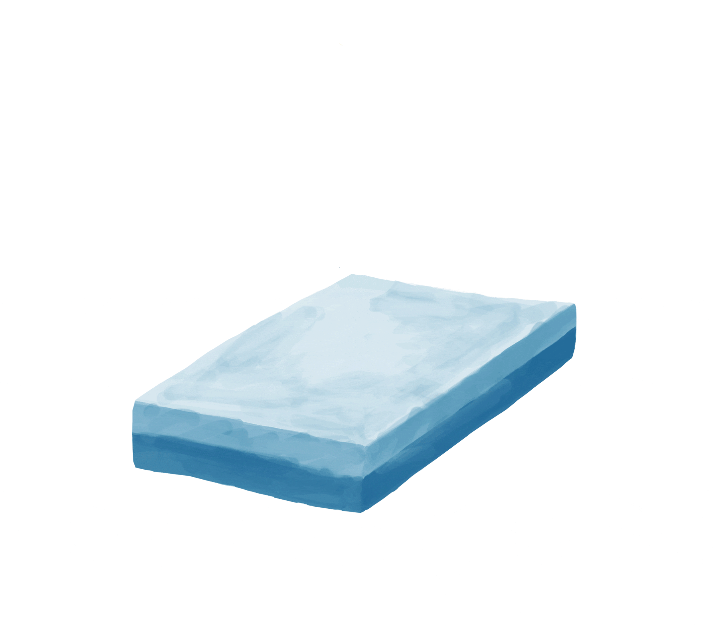 Flowerbed (Sustainability) - Roomie, Inc.