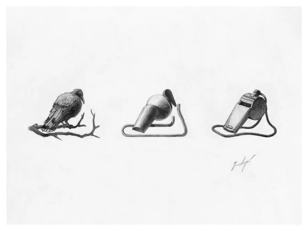 Metamorphosis of Bird and Whistle - 2019, pencil