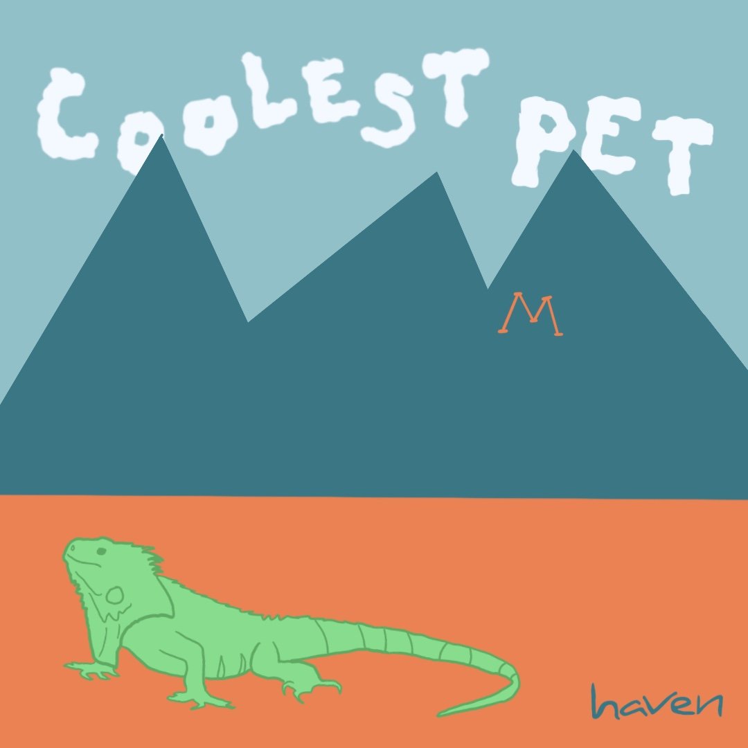 ¡Vota por la mascota más guay aquí! #Haven4Pets