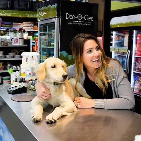 Behind the scenes: How RedRover’s grant helps Haven welcome pets at our shelter