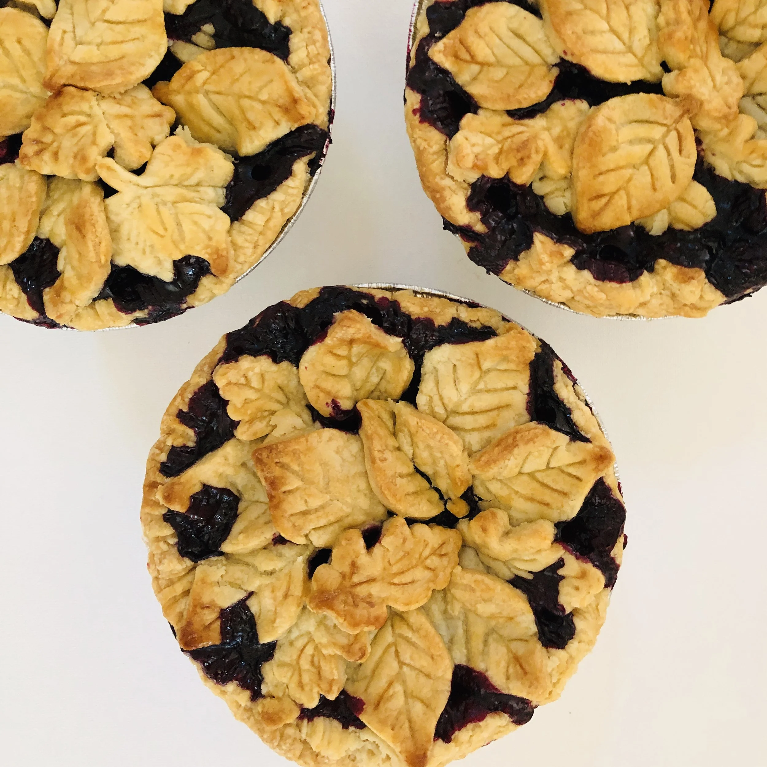 BLUE 2500X2500 75 DPI.jpg