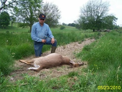 Deer shot May 2010.jpg