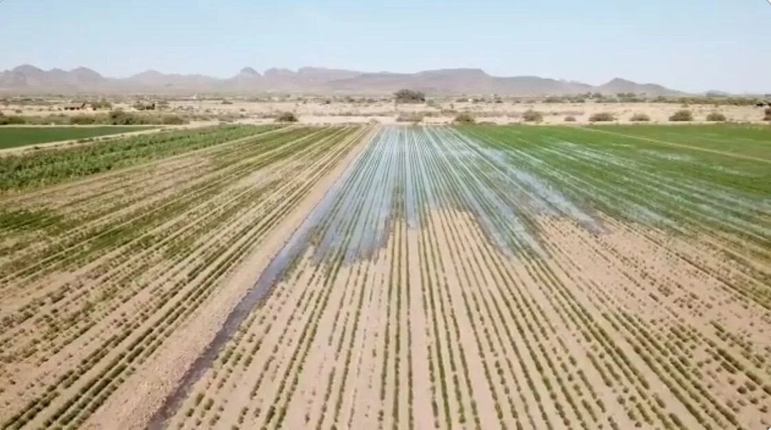 Environmental Defense Fund on Twitter