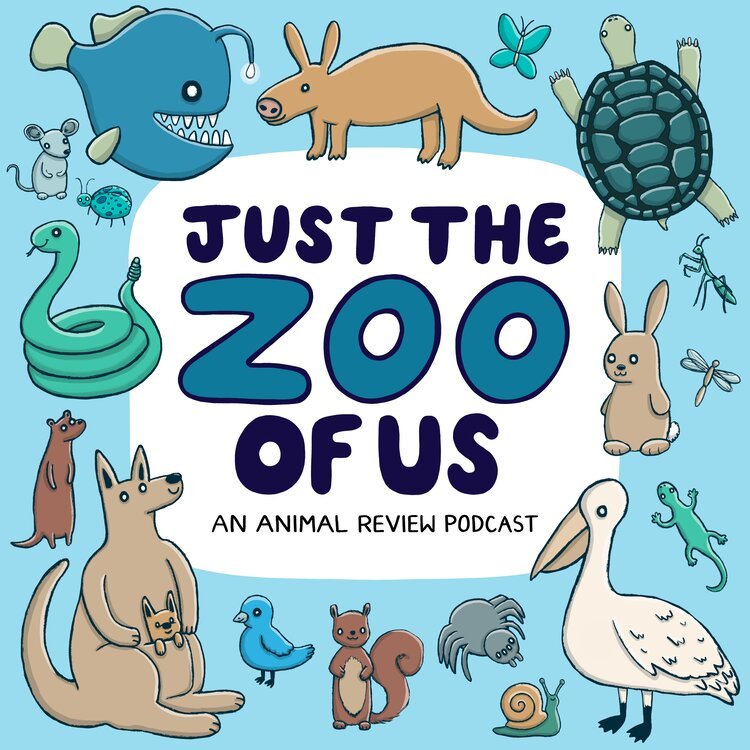 Just the Zoo of Us