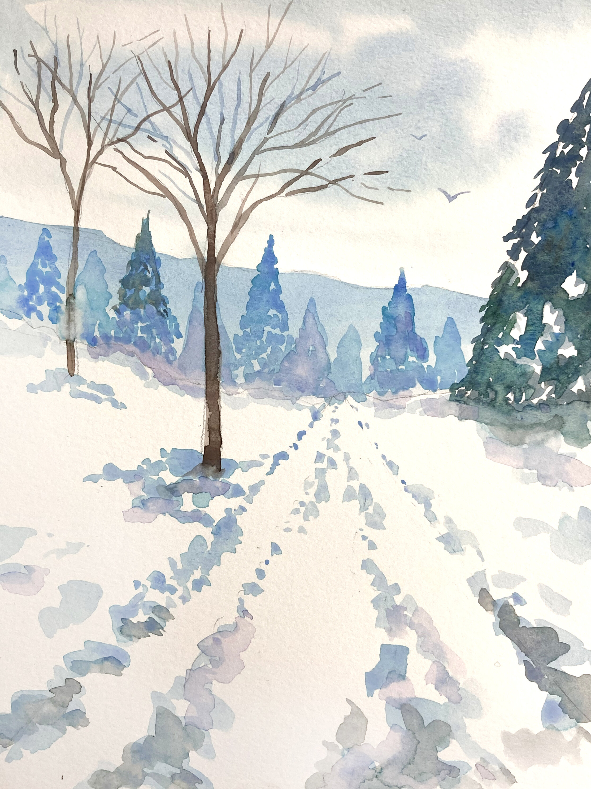 Snow scene-path.JPG