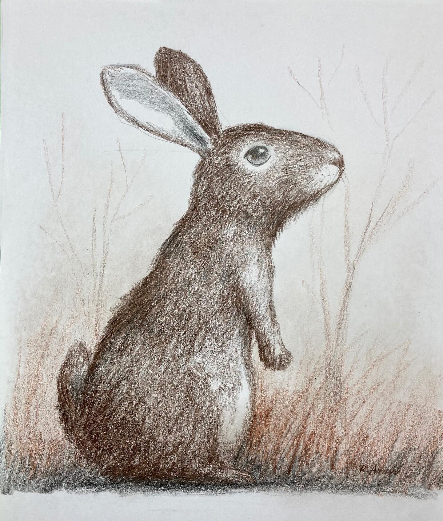 This is the colored pencil artwork rabbit showed to our colored pencil students! Message us if you are interested in taking colored pencil class with us!! 😀😀😀😀
#charlotteartstudio  #parents #art #fineart #creativity #arteducation #elementaryart #