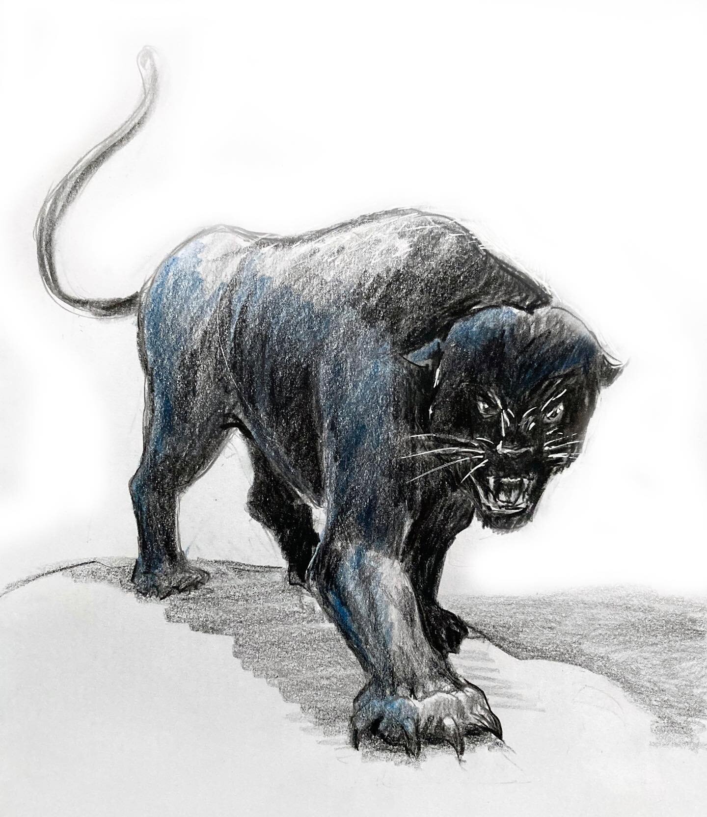 This is the colored pencil artwork Panther showed to our colored pencil students! Call us if you are interested in taking colored pencil class with us!! 😀😀😀😀
#charlotteartstudio  #parents #art #fineart #creativity #arteducation #elementaryart #ch