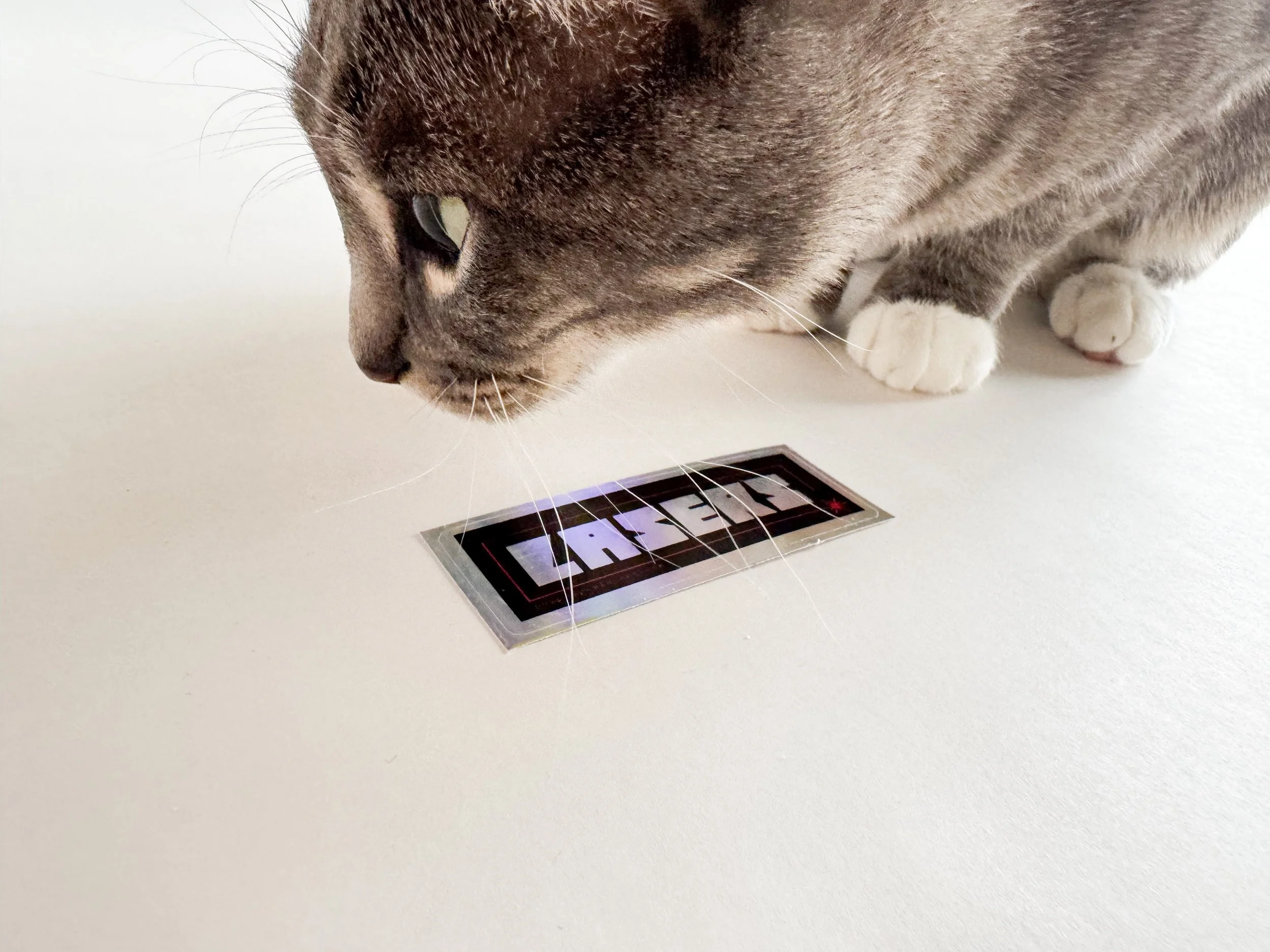 lasers-sticker-hologram-3.jpg
