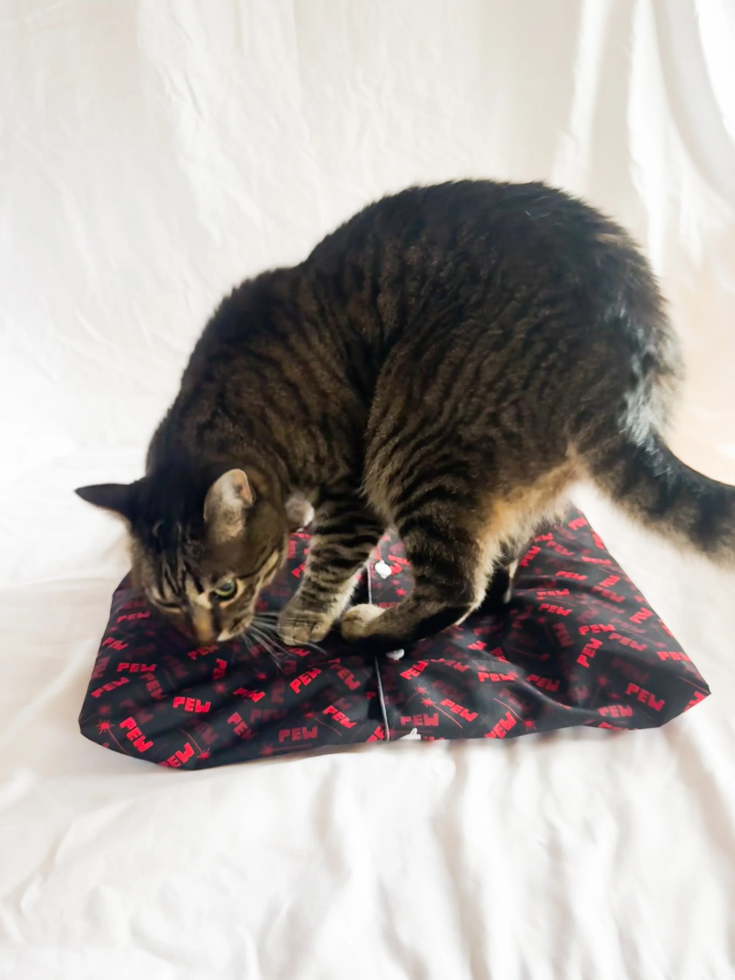 pew-red-button-down-2.jpg