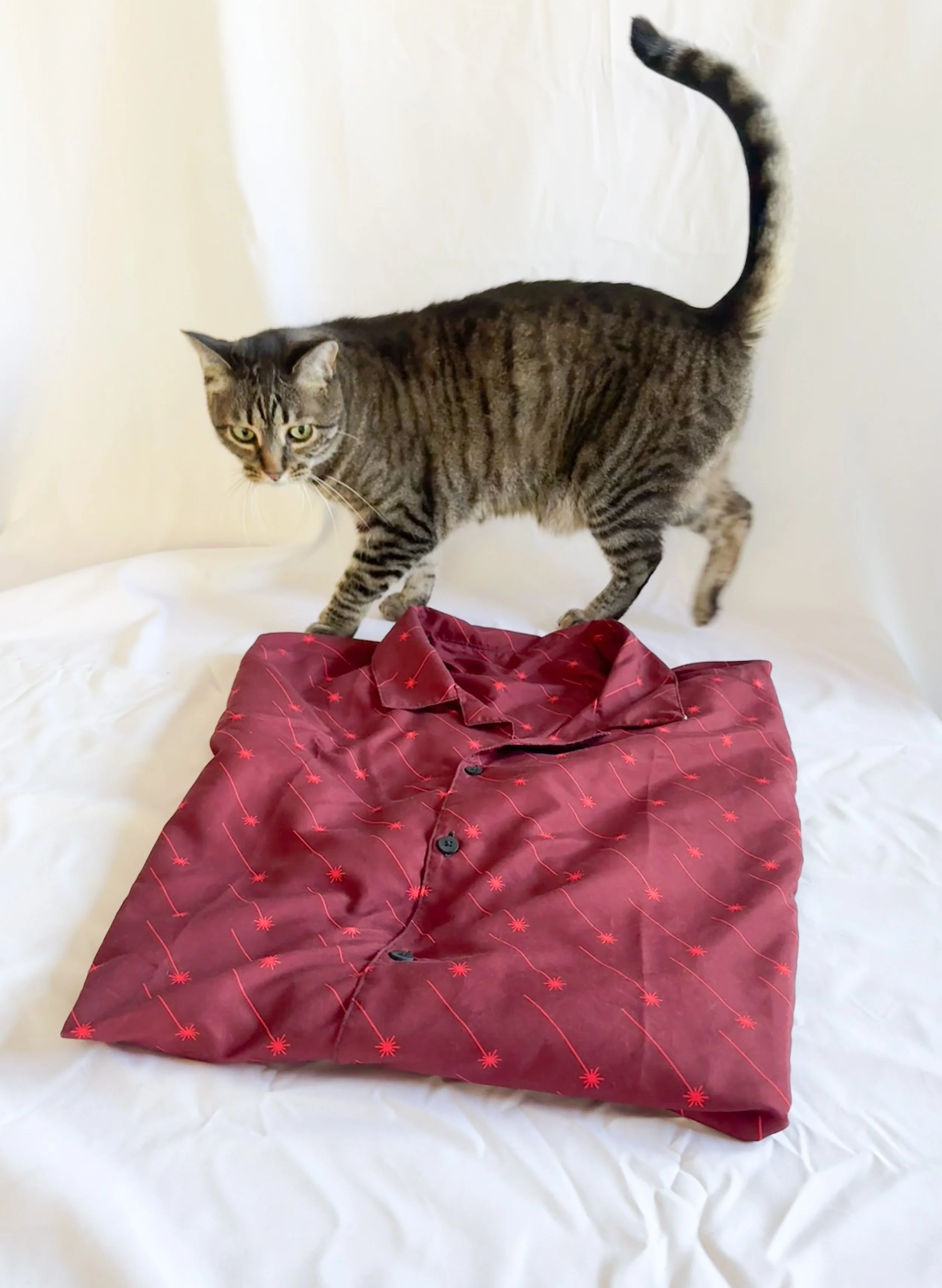 angled-lasers-buttondown-red-2.jpg