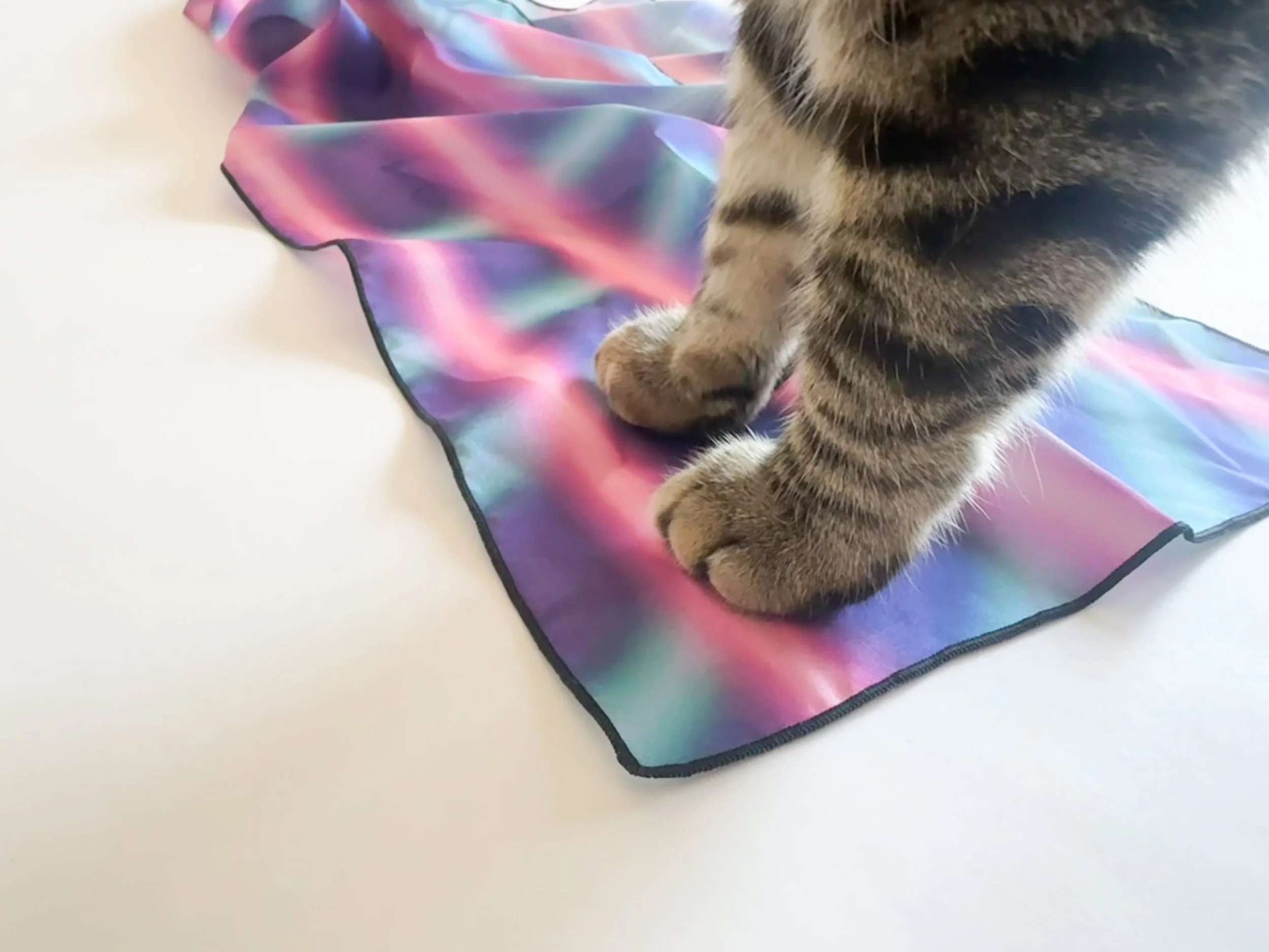 laser-backdrop-scarf-3.jpg